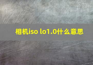 相机iso lo1.0什么意思